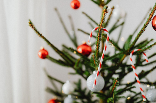 The Surprising Link Between 9-Foot Artificial Christmas Trees and Being Fit and Healthy