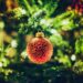 Unlit Christmas Trees vs. 7-Foot Pre-Lit Options Full of Cheer