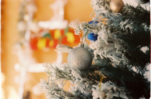 Create Magical Memories with a Skinny Christmas Tree